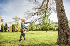 Best Storm Damage Tree Cleanup  in Oakwood, PA